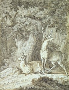 Two Stags (krita på papper)